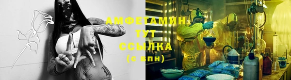 крисы Алексеевка