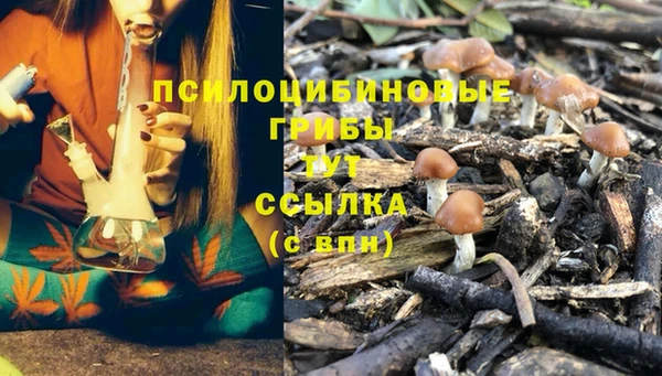 крисы Алексеевка