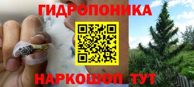 ГАЛЛЮЦИНОГЕННЫЕ ГРИБЫ Бузулук