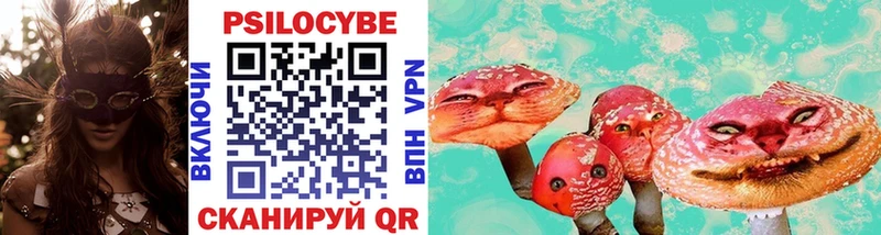 Галлюциногенные грибы Cubensis hydra ссылка Когалым как найти закладки