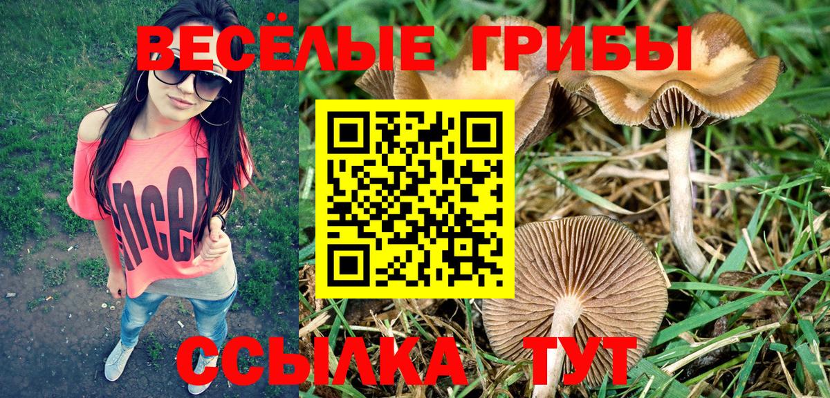 Галлюциногенные грибы MAGIC MUSHROOMS  Галлюциногенные грибы мицелий  Вход с VPN  Когалым 